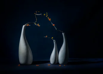 Vasos elegantes com flores