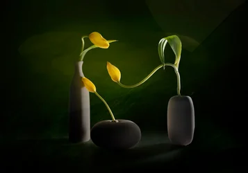 Vasos florais verdes e amarelos
