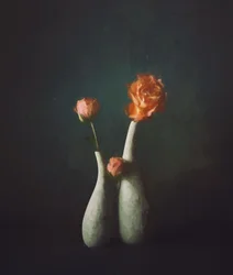 Vasos Moody Rose