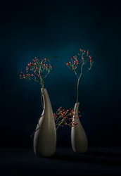 Vasos modernos com bagas vermelhas