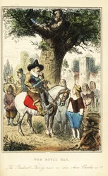 Rei Carlos II escondendo um carvalho em Boscobel Wood, após a Batalha de Worcester