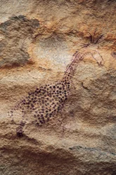 Girafa, pintura rupestre, Período Pastoral (4000-2500 AC), Tassili n