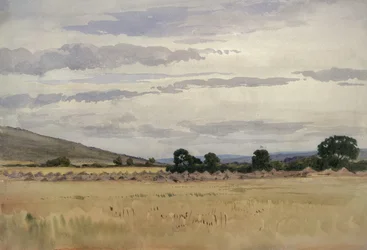 Paisagem com milharal (wc no papel)