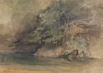 Árvores junto a uma piscina