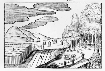 Frutas da Terra, 1658