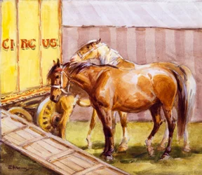 Cavalos de circo (aguarela)