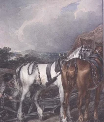 O lavrador