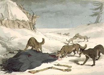 The Wolf Hunt, placa 74 do Volume III de 