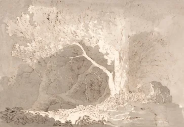 Estudo das árvores