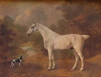 Um cinza pulga-mordido e um Terrier manchado, 1803.
