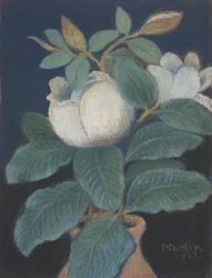 Flores de magnólia, 1933