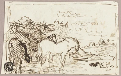 Esboço de cavalos parados na água