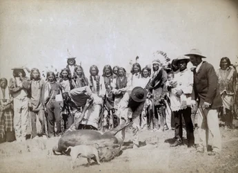 Esfolando carne, 1891