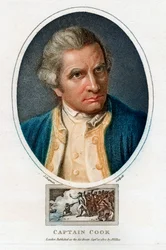 Retrato de James Cook, 1800