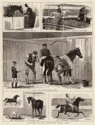Esboços no Islington Horse Show