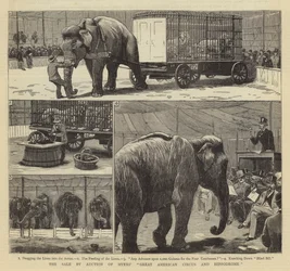 A venda em leilão do Grande Circo Americano e Hipódromo de Myers