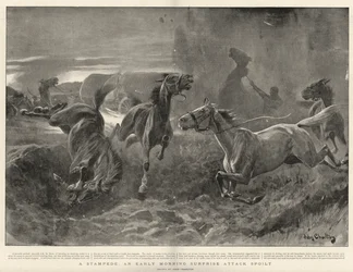 Um Stampede, um ataque de surpresa no início da manhã estragado