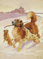 Três cachorros brincando na neve, 1881