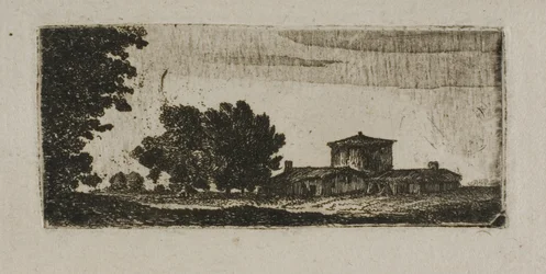 Árvores e edifícios com torre baixa