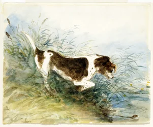 Um cachorro assistindo a um rato na água - Dedham, pintado 1831
