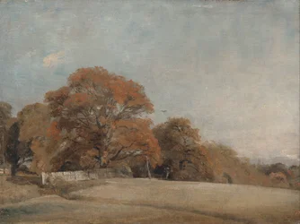 Uma paisagem outonal em East Bergholt