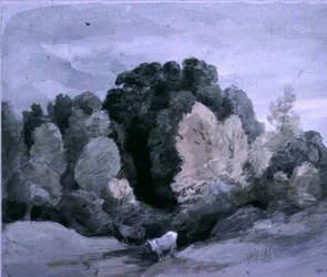 Gado perto da borda de uma madeira, c.1805