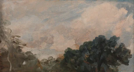 Estudo das Nuvens com Árvores