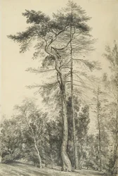 Abeto, c.1833