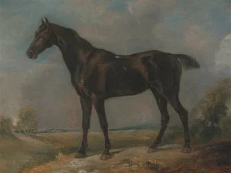 O cavalo de montaria preto de Golding Constable