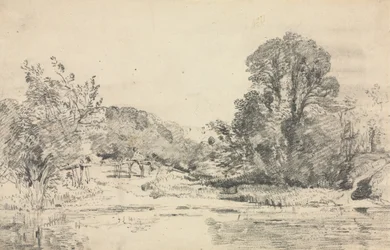 Paisagem com árvores ao redor de uma lagoa.