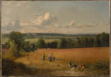 O campo de trigo