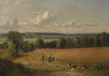 O campo de trigo