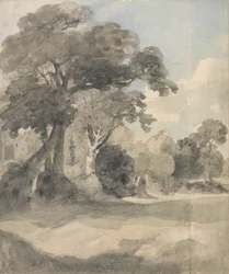 Árvores num prado