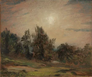 Árvores em Hampstead Heath