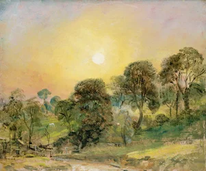 Árvores em Hampstead Heath ao pôr do sol
