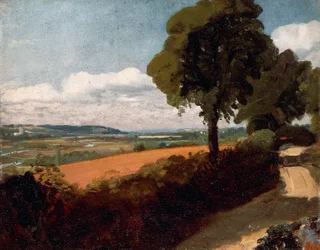 Vista de uma estrada que conduz a East Bergholt