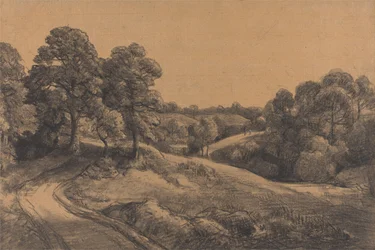 Declive arborizado com uma estrada de recuperação