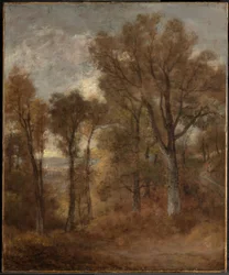 Cena de bosque com vista para o vale de Dedham