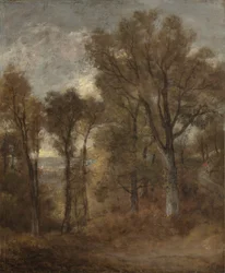 Cena da floresta com vista para Dedham Vale, c.1802-03
