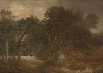Paisagem da floresta perto de Norwich