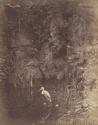 Pescador 2, 1856