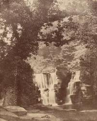 As cascatas superiores, Penllergare Valley Woods, c. 1852 (foto)