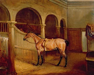 Roan Hack in the Stables de Lord Villiers, em Middleton Park