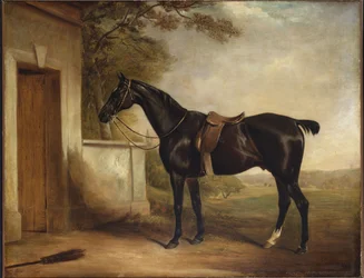 Retrato de Buckle, Caçador do Primeiro Lorde Chesham, 1836