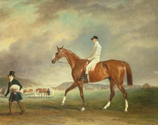 O cavalo de corrida castanha de Cur com jockey em Newmarket Heath