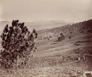 Paisagem com Árvore e Três Homens, Índia