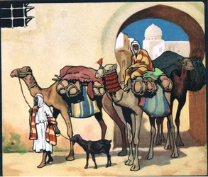 Comboio de Camelos, ilustração de 
