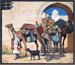 Comboio de camelos