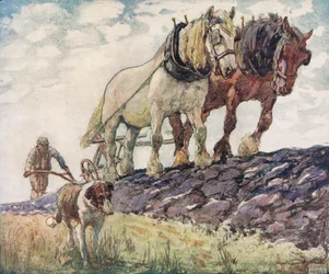 Arando o campo, ilustração de 