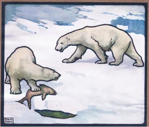 Urso polar